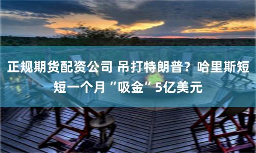 正规期货配资公司 吊打特朗普？哈里斯短短一个月“吸金”5亿美元