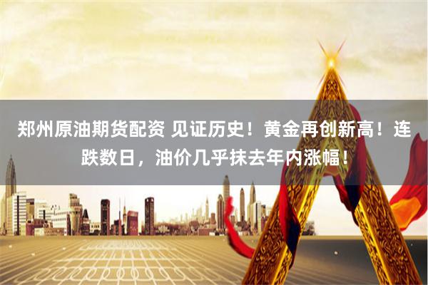 郑州原油期货配资 见证历史！黄金再创新高！连跌数日，油价几乎抹去年内涨幅！